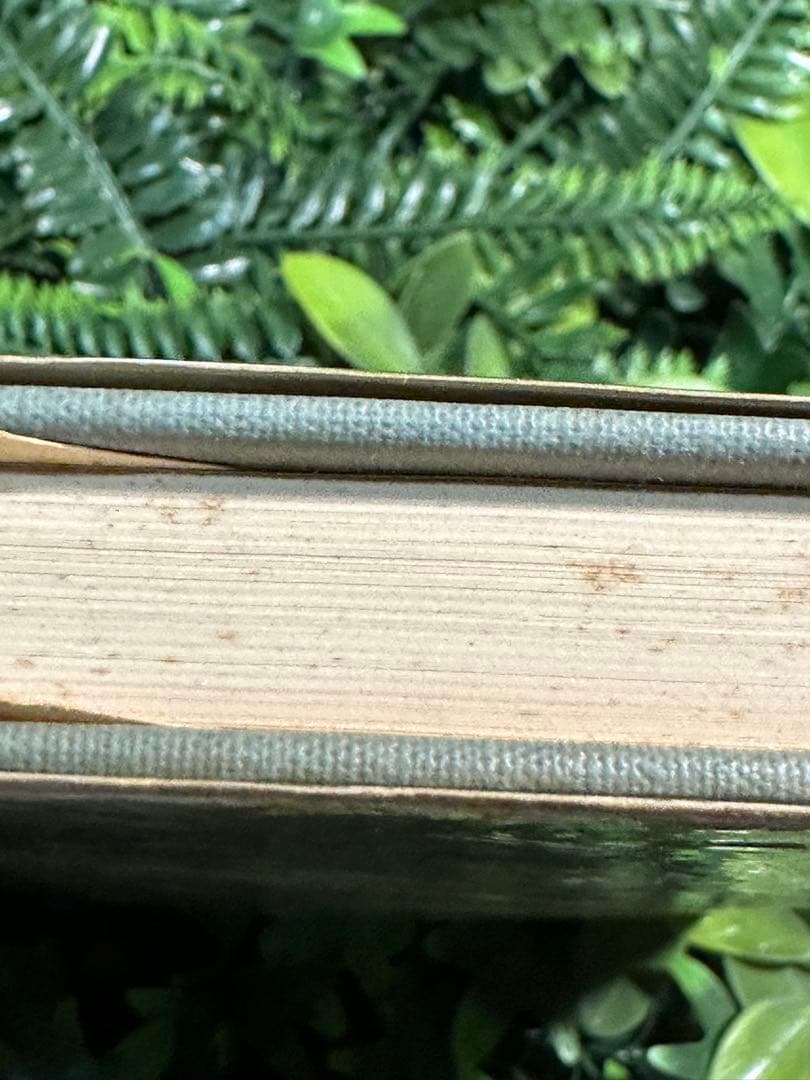 宇野理論と資本論 桜井毅 有斐閣 初版