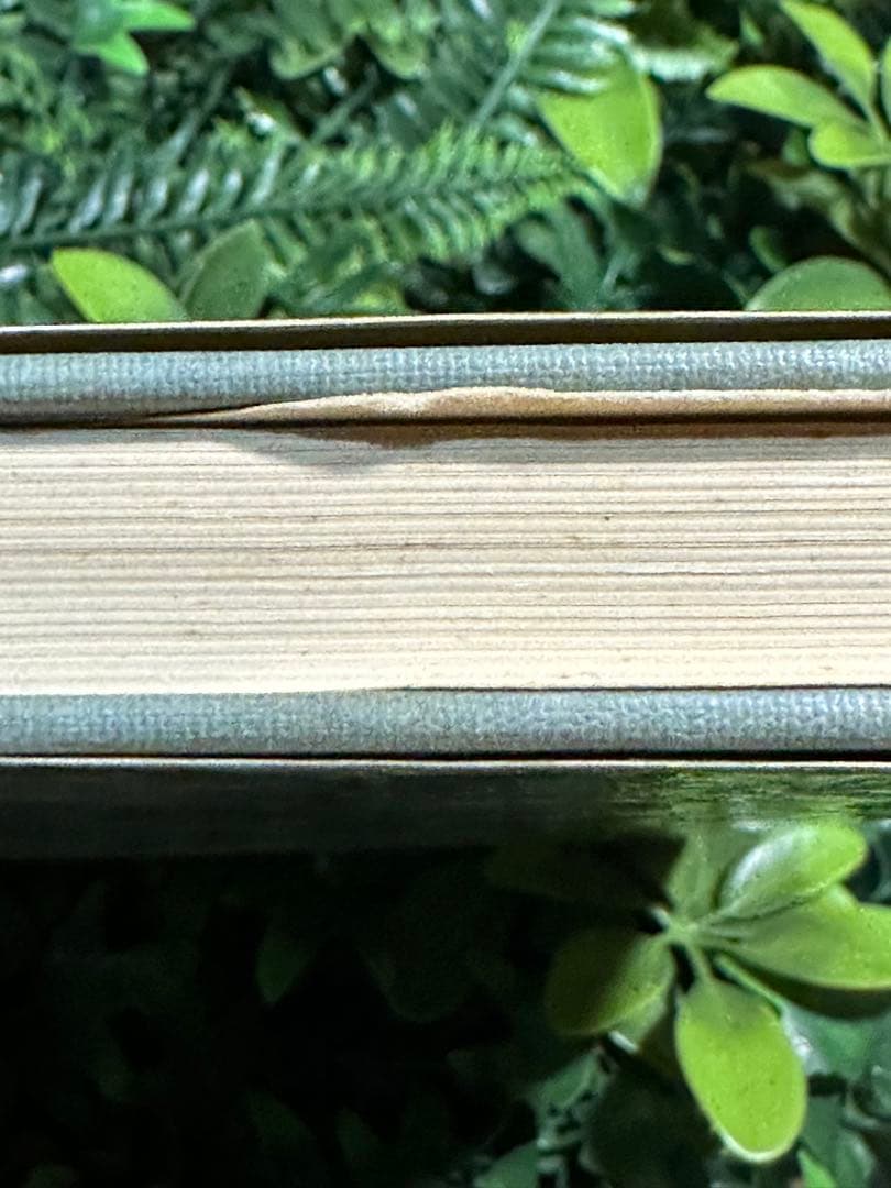 宇野理論と資本論 桜井毅 有斐閣 初版