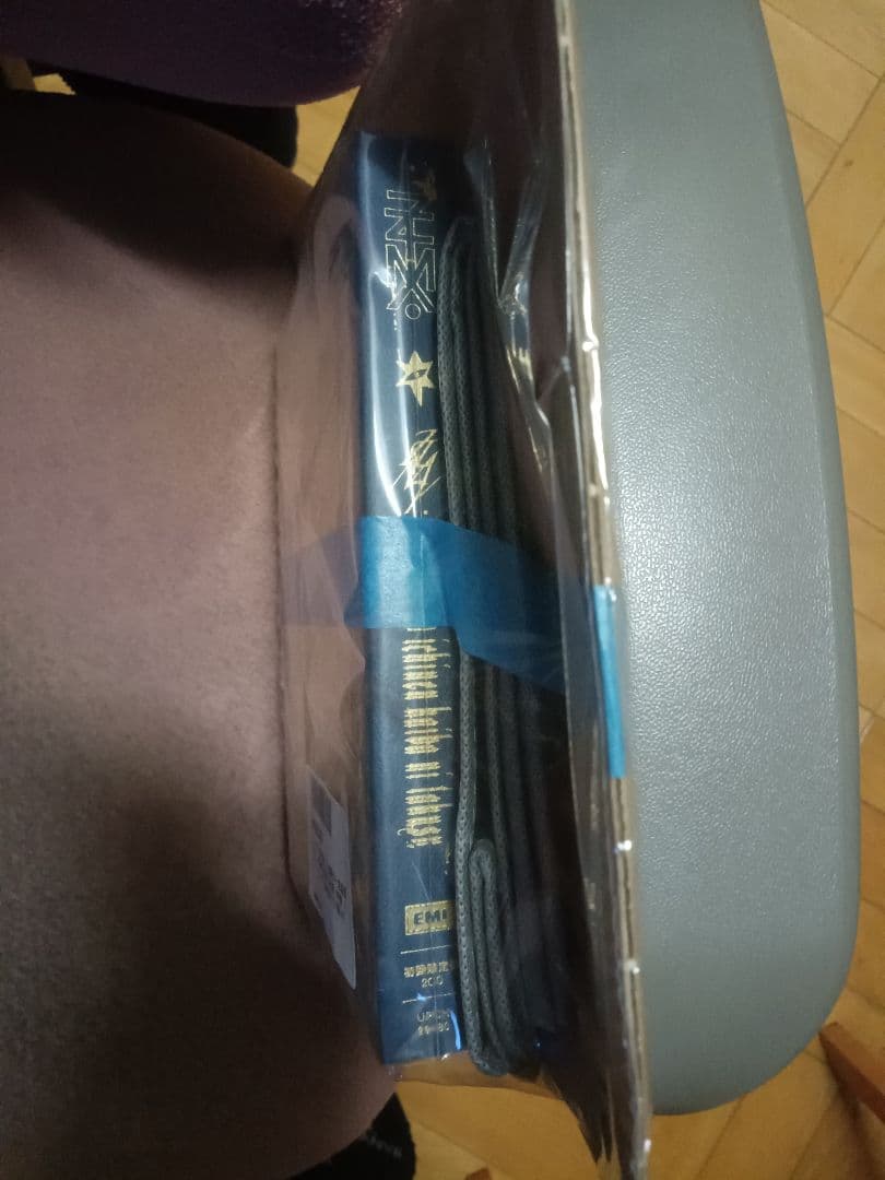 メーカー特典付虚仮の一念海馬に託す初回限定盤特典ミニトートバッグ付