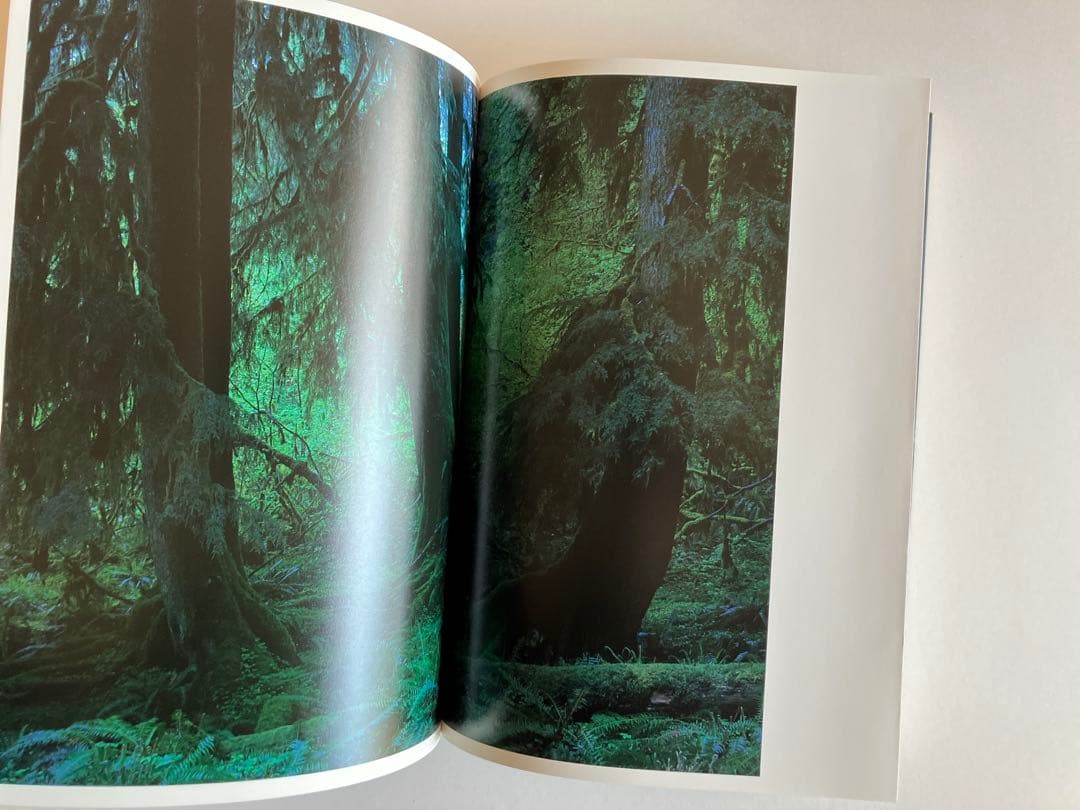 QUINAULT Yoshihiko UEDA 上田義彦