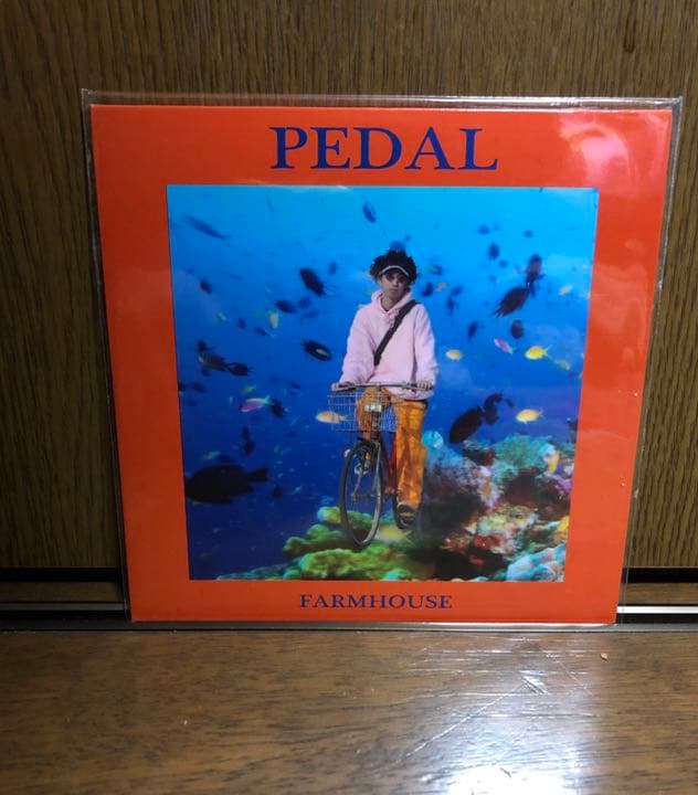 邦楽 PEDAL