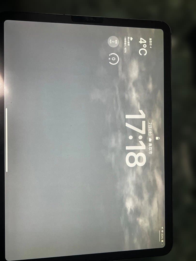 iPad Pro 11インチWI-FI Cellular 256GB GLAY