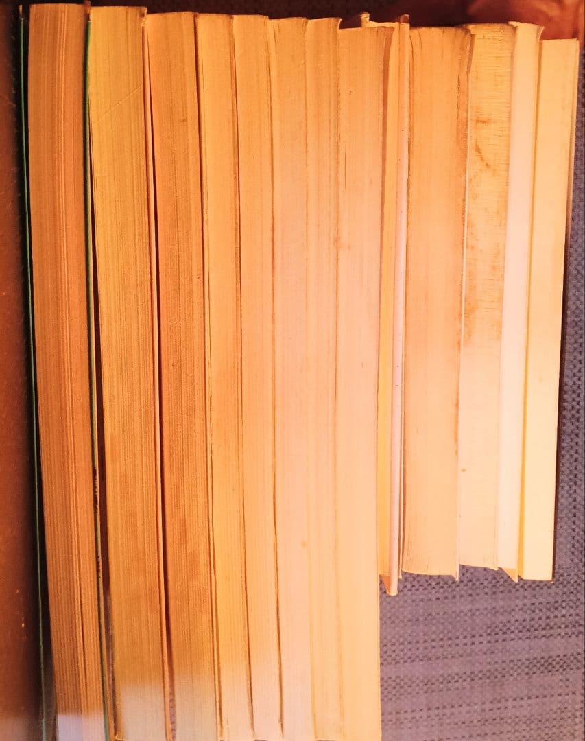 日本語教師 教材まとめ売り13冊