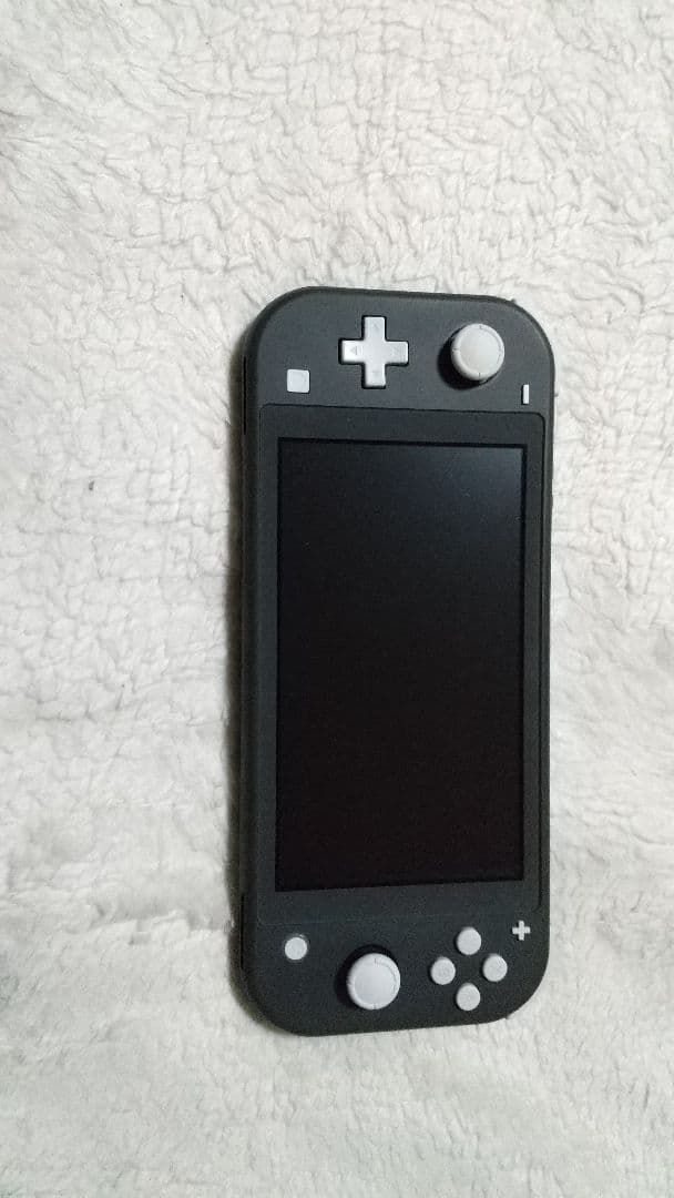 Nintendo Switch Lite グレー 動作品 極良品