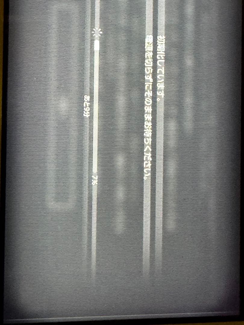 Nintendo Switch Lite イエロー（ジャンク）