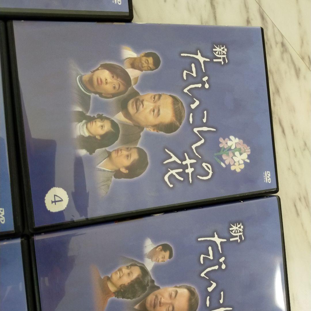 ※専用！！！！！ひろくん様　1万円お値下げ！！　新　だいこんの花　DVD BOX