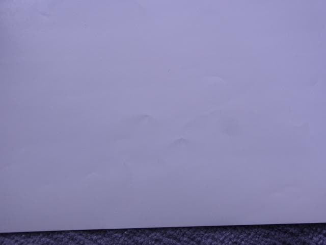 未使用品　非売品　ポスター　かまいたちの夜　プレイステーション2　店頭用告知