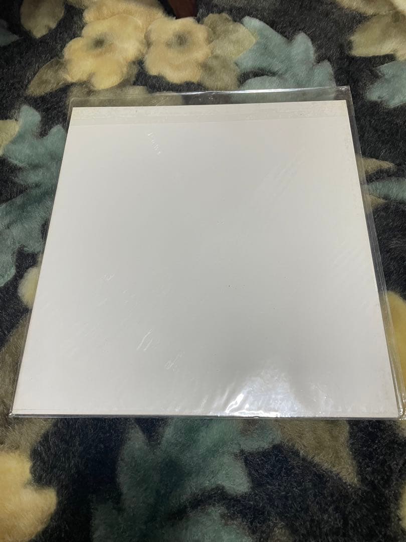 高橋由美子　直筆サイン色紙