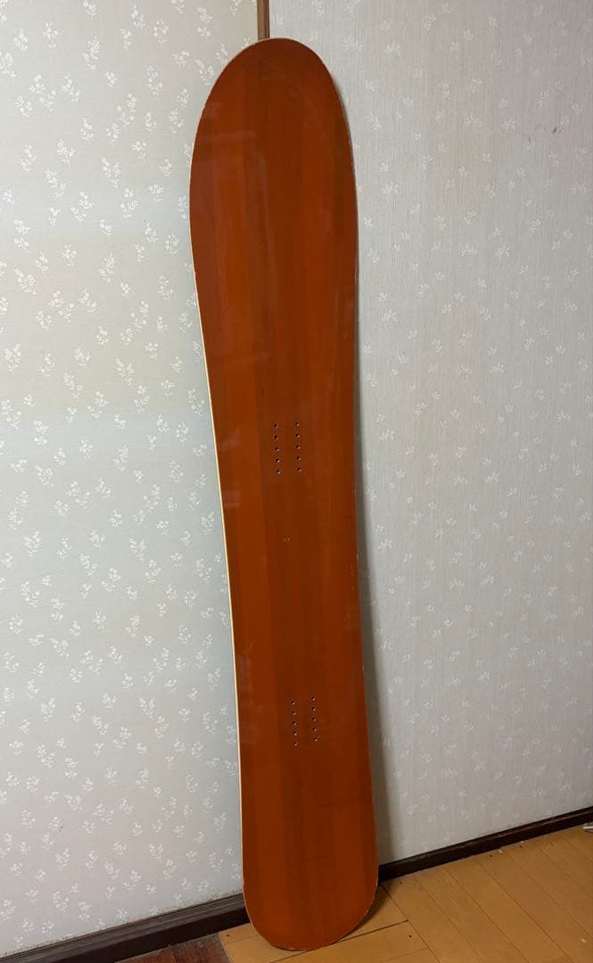 t*m様 gentemstick floater 161