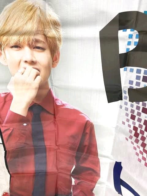 BTS 防弾少年団 bbq. レジャーシート エコバッグ TAEHYUNG V