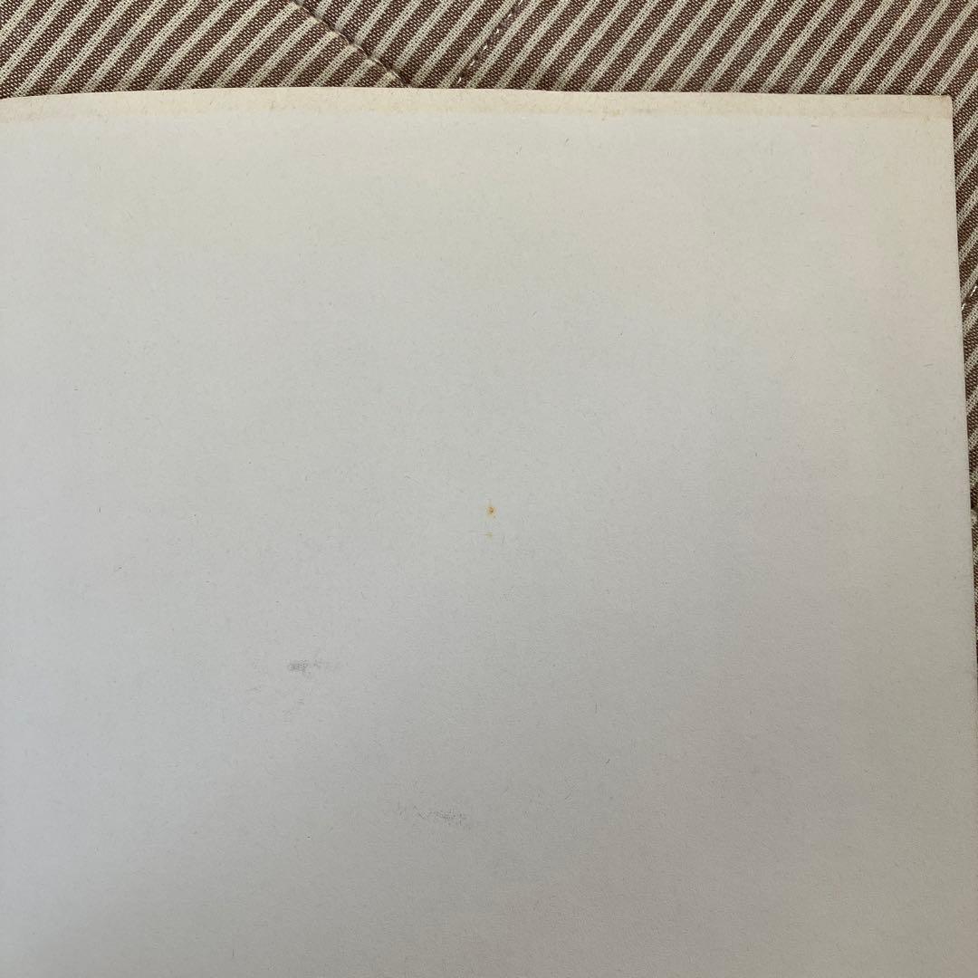 激レア❗️裸のラリーズ、エトセトラ、etcetera。7インチレコード付き。水谷孝