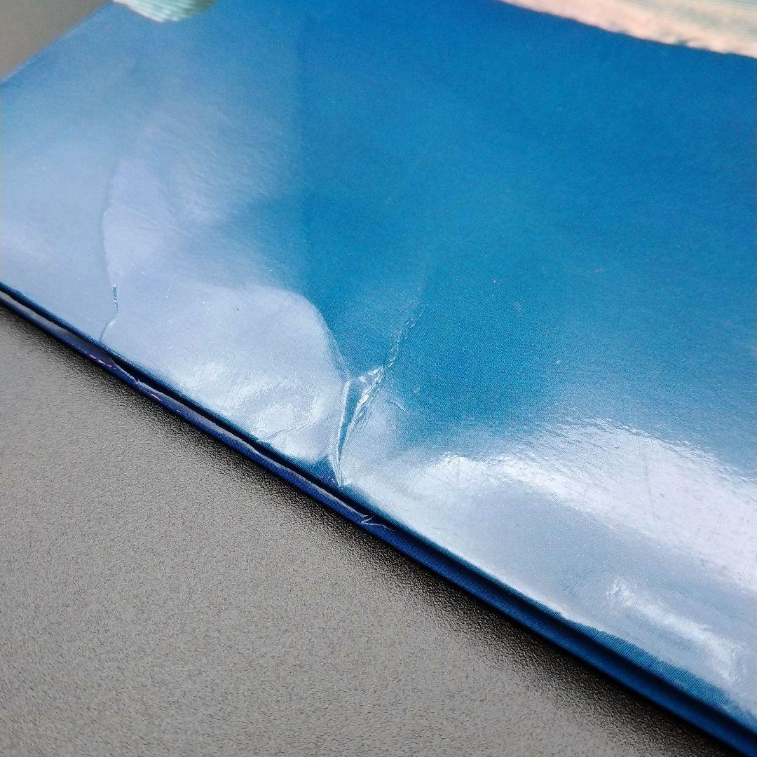 【確認用ページ】鶴田浩二「男／傷だらけの人生」LPレコード