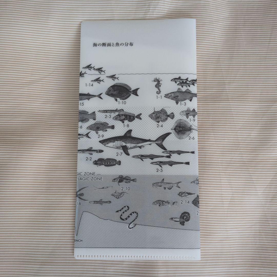 サカナクション 魚図鑑 初回限定盤(2CD＋Blu-ray)特典チケットホルダー