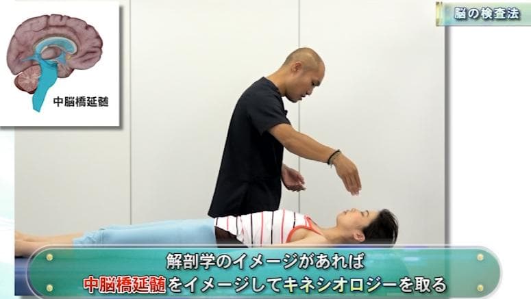 フルスキャンシステム・マスタープログラム　 セルフキネシオロジー