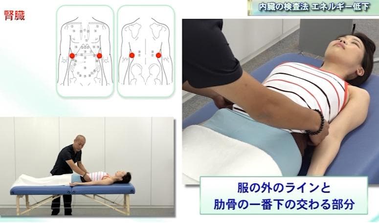 フルスキャンシステム・マスタープログラム　 セルフキネシオロジー