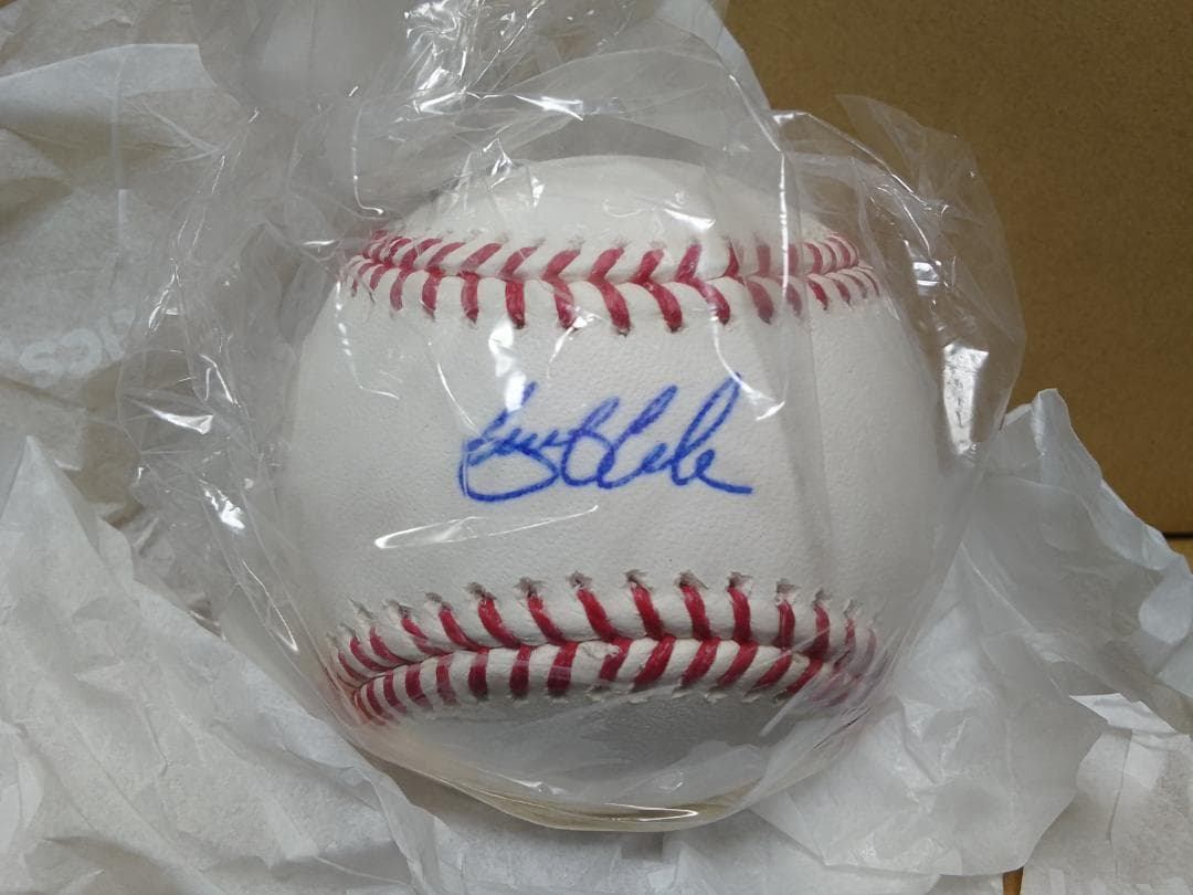 ヤンキース ゲリット・コール 直筆サインボール MLB公式購入 大谷