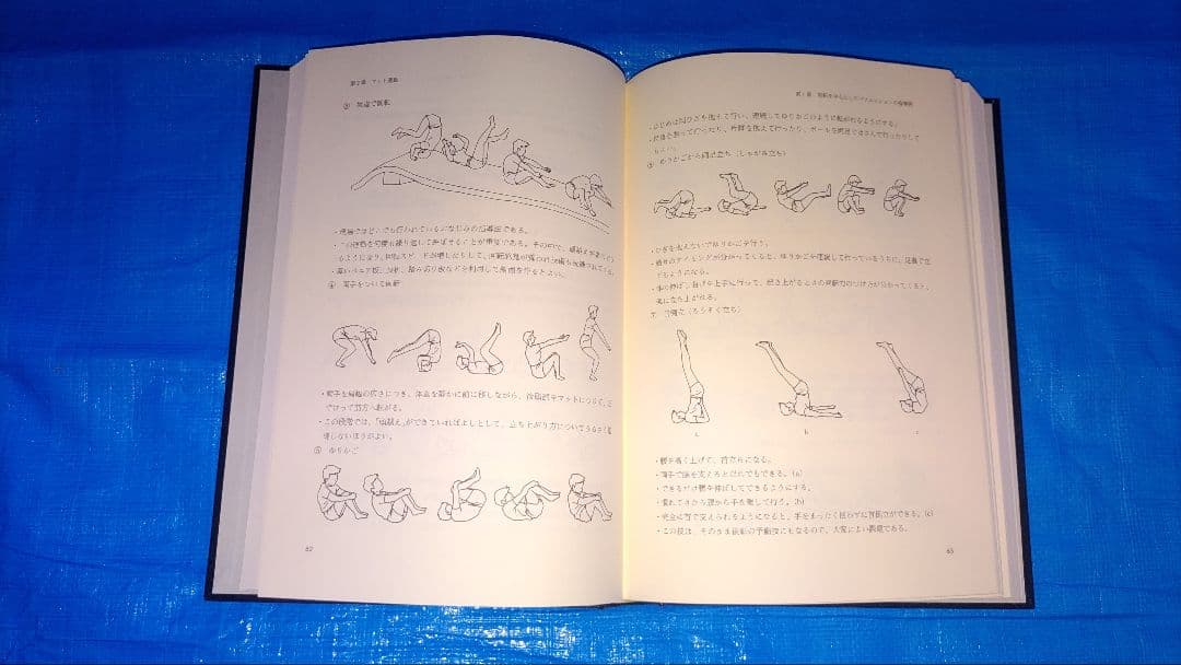 小学校体育実践指導全集　1〜15巻セット　日本教育図書センター