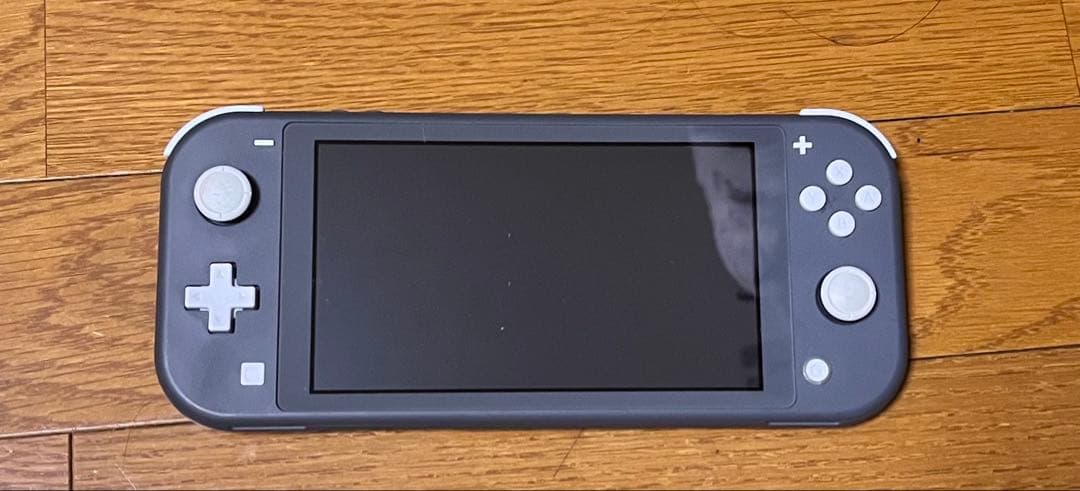 Nintendo Switch Lite グレー 本体 充電コード付き