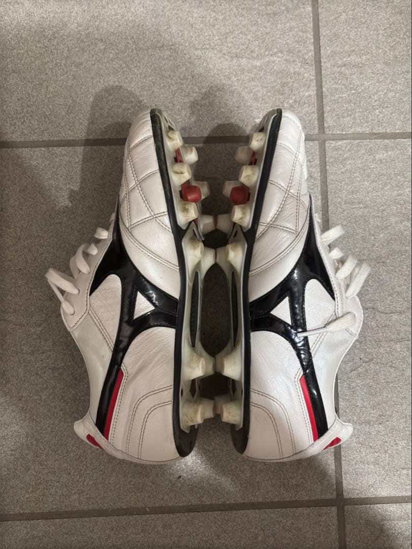 【us21様】モレリア2 クロスステッチ　25.5cm