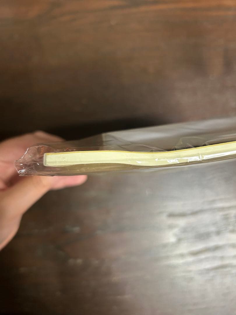 DVD 言えない秘密 台本付き レア 京本大我