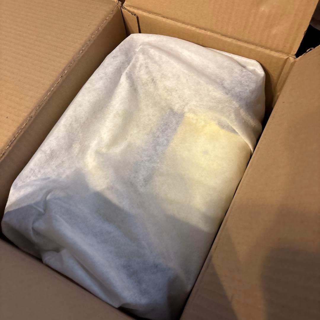 最終値下げ！ももいろクローバーZ x ACE キャリーケース 黄色