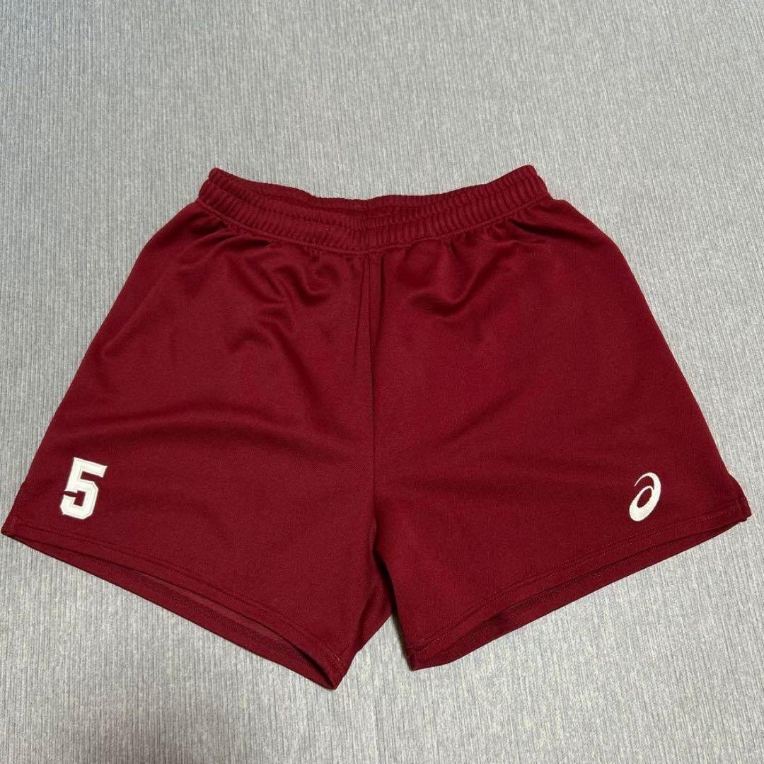 早稲田大学バレーボール部ゲームパンツ