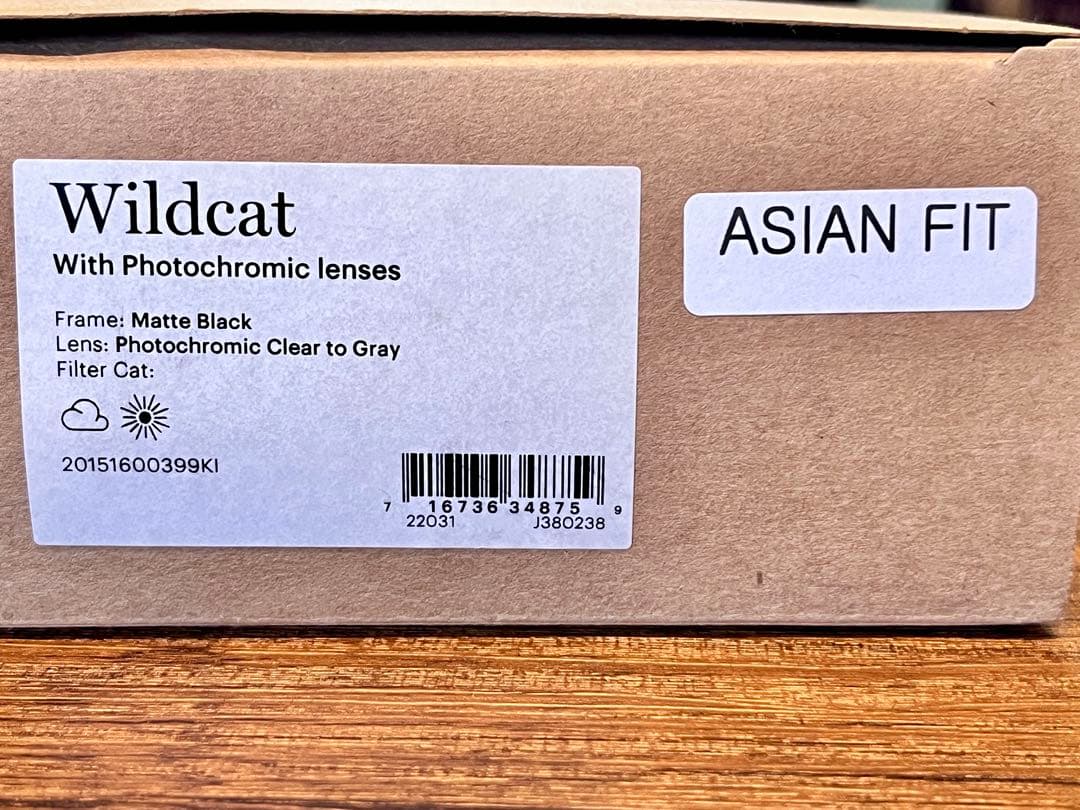 Smith Wildcat Matte Black 調光