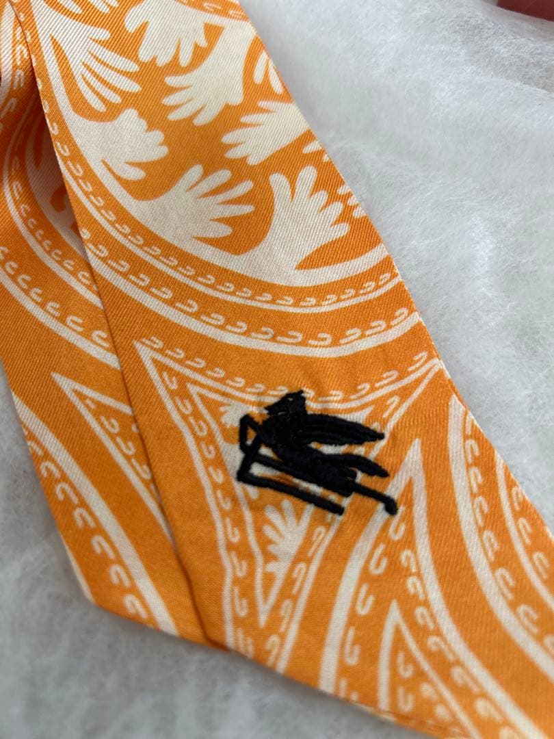 ETRO per Kaito Takahashi ペイズリーナ　used