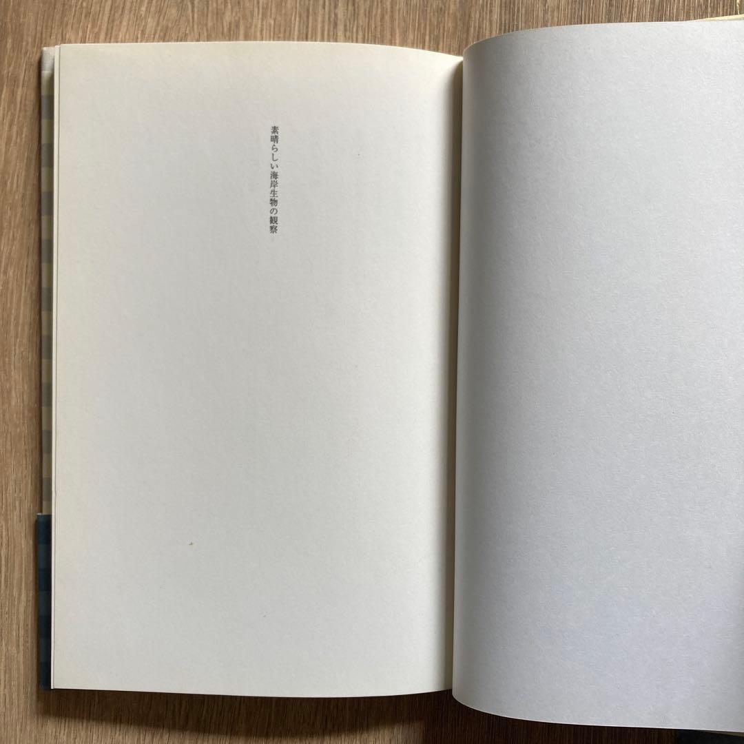 素晴らしい海岸生物の観察