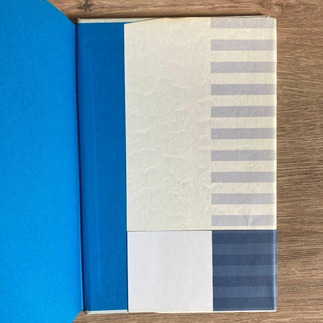 素晴らしい海岸生物の観察