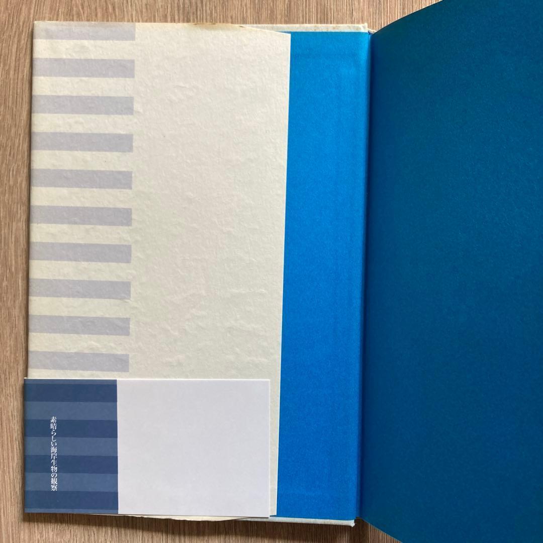 素晴らしい海岸生物の観察