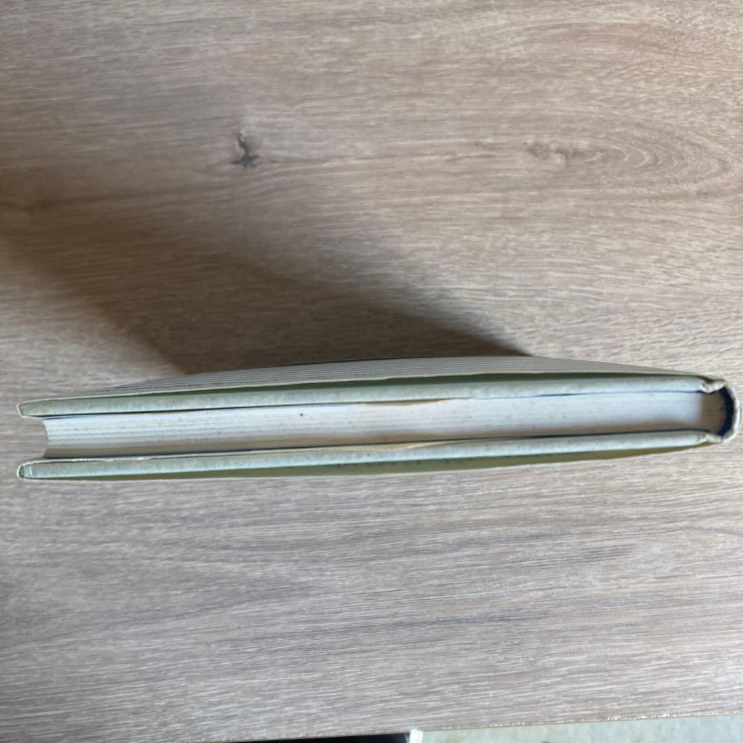 素晴らしい海岸生物の観察