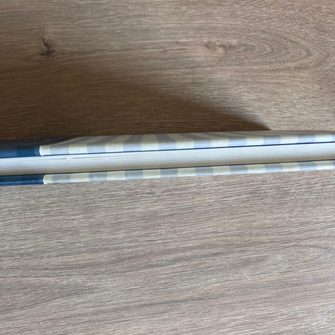 素晴らしい海岸生物の観察