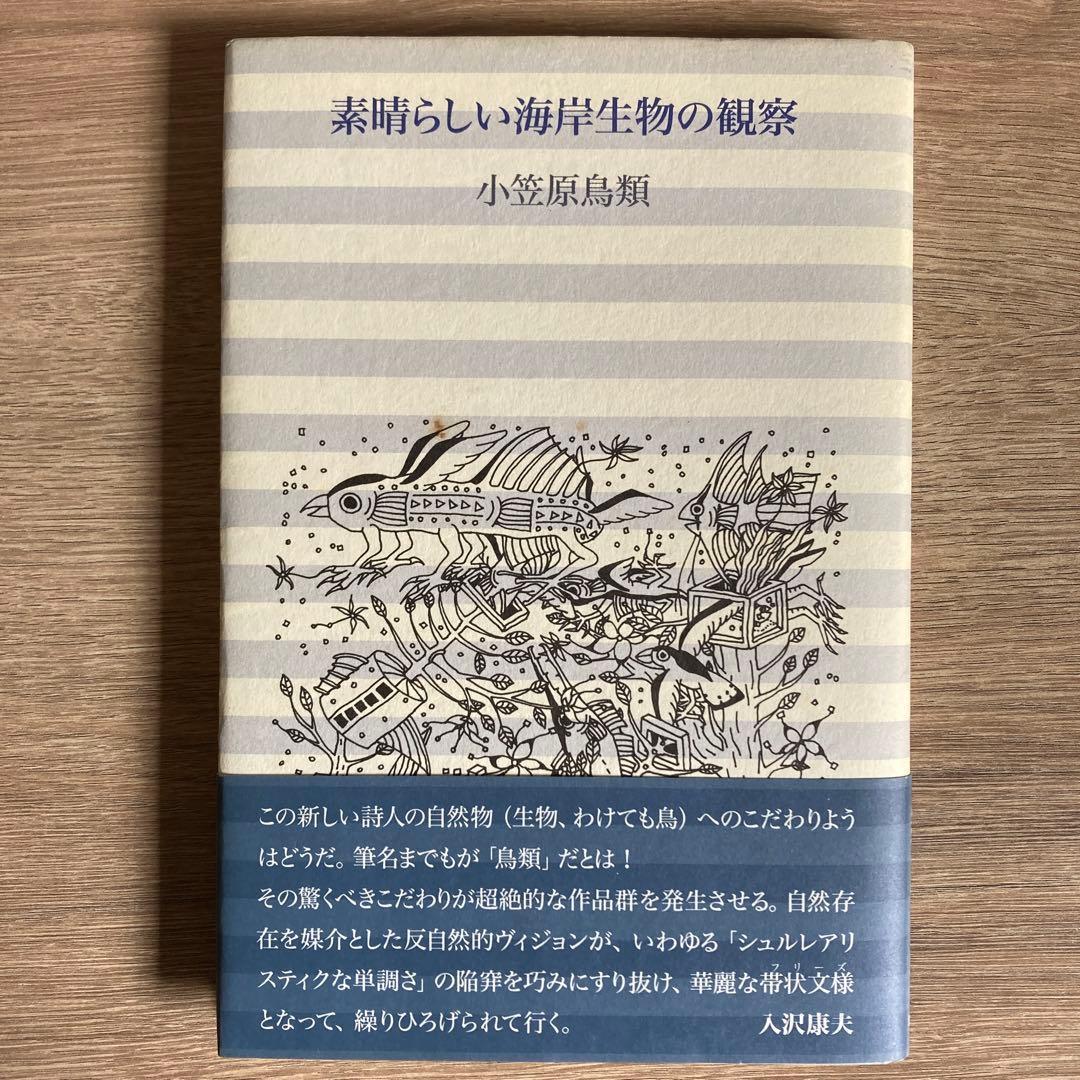 素晴らしい海岸生物の観察