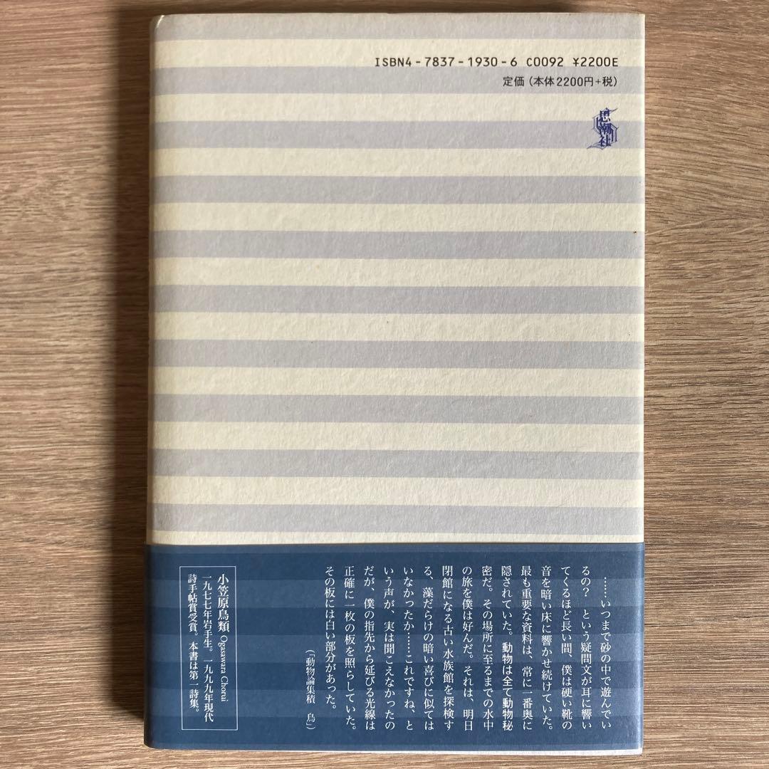 素晴らしい海岸生物の観察