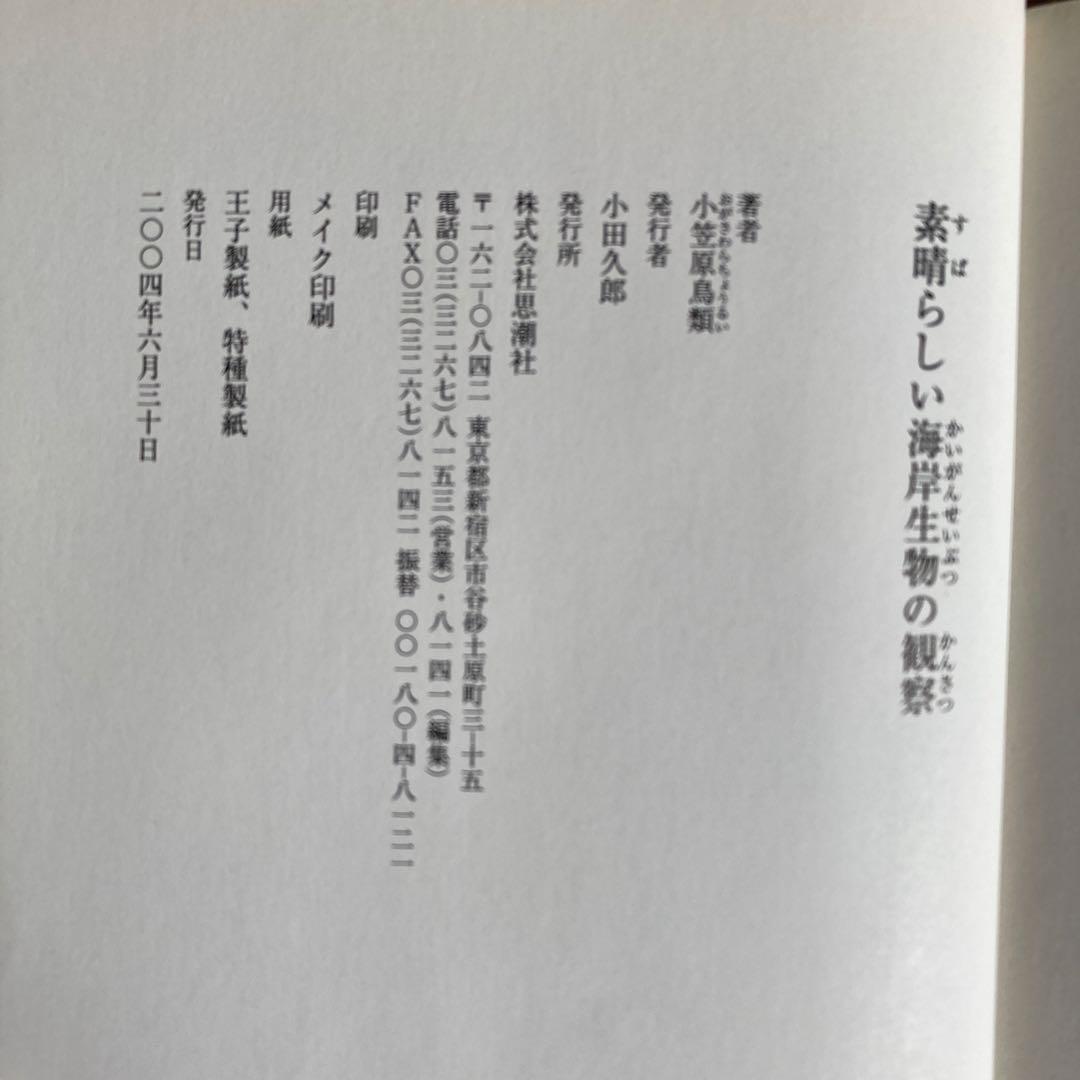 素晴らしい海岸生物の観察