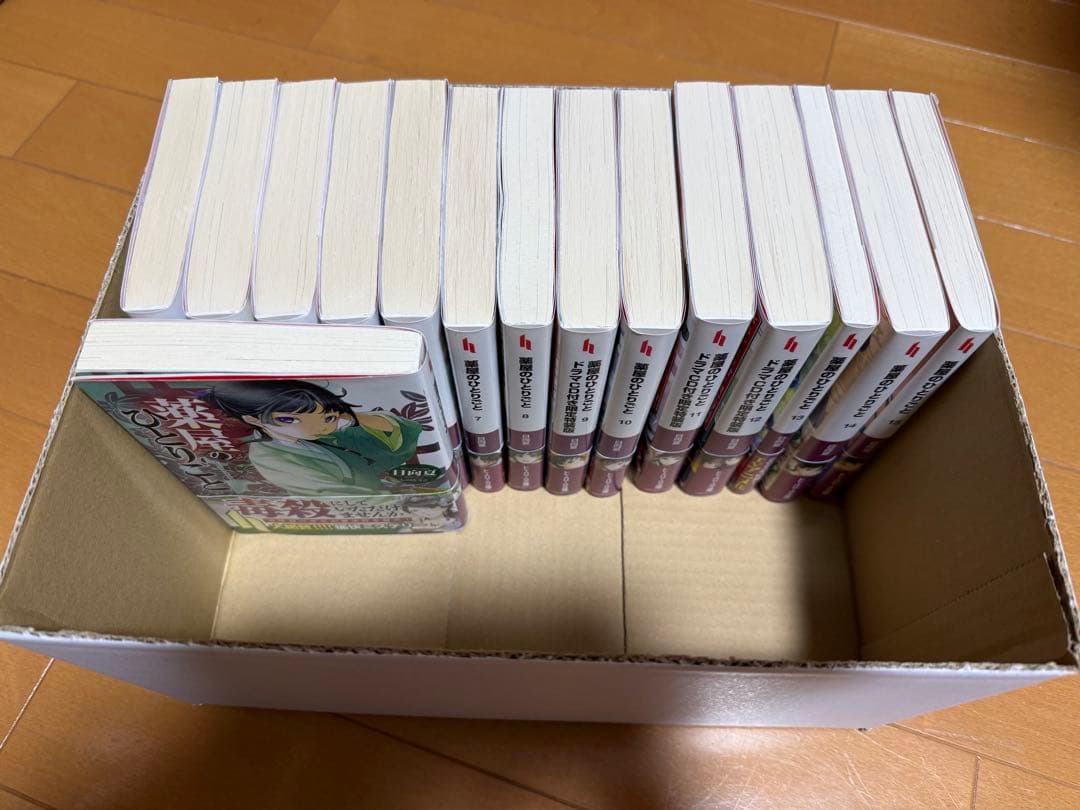 薬屋のひとりごと 小説 1〜15巻セット 9巻 11巻 12巻 特装版