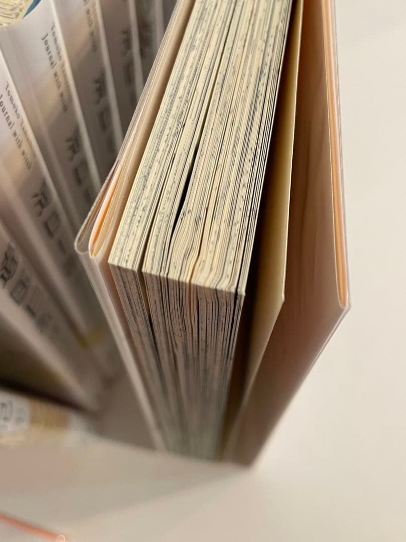 送料0円 違国日記 全11巻セット 全巻帯付きビニールカバー付き