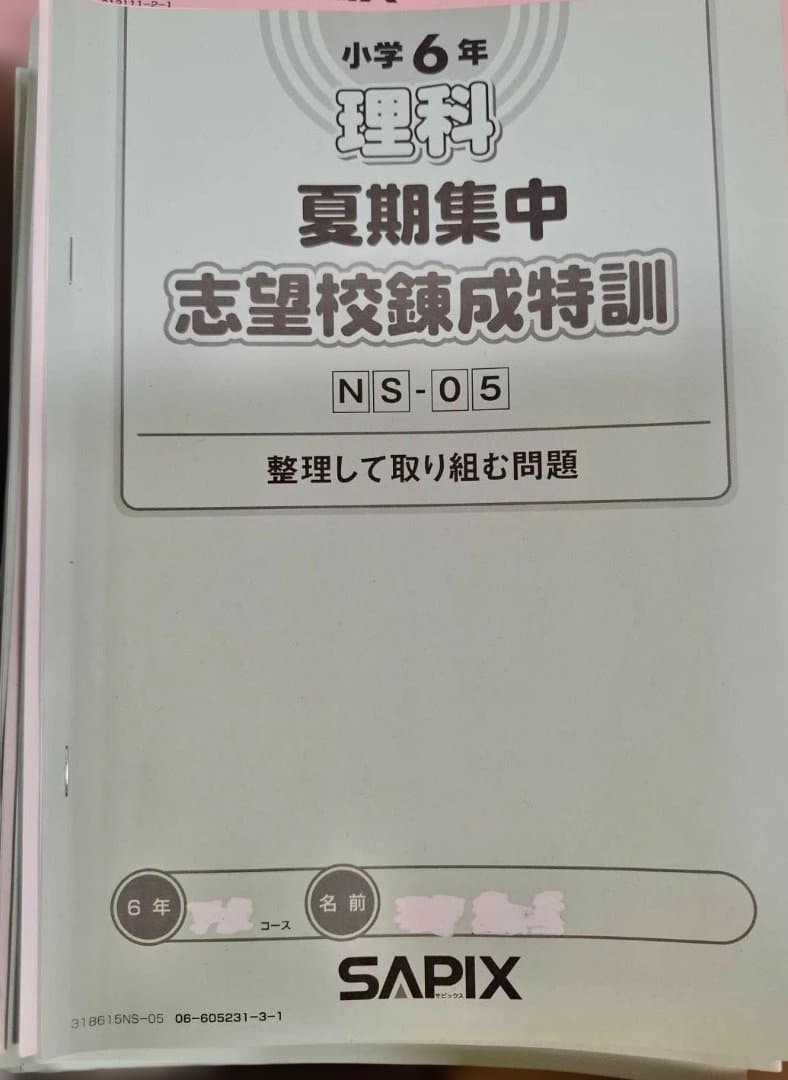 SAPIX 小6 教材セット