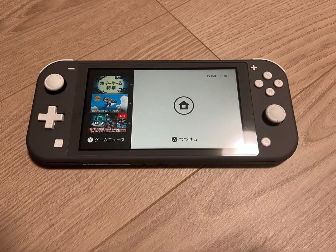 Nintendo Switch Lite 本体、ケース、カバー、充電器、箱付き