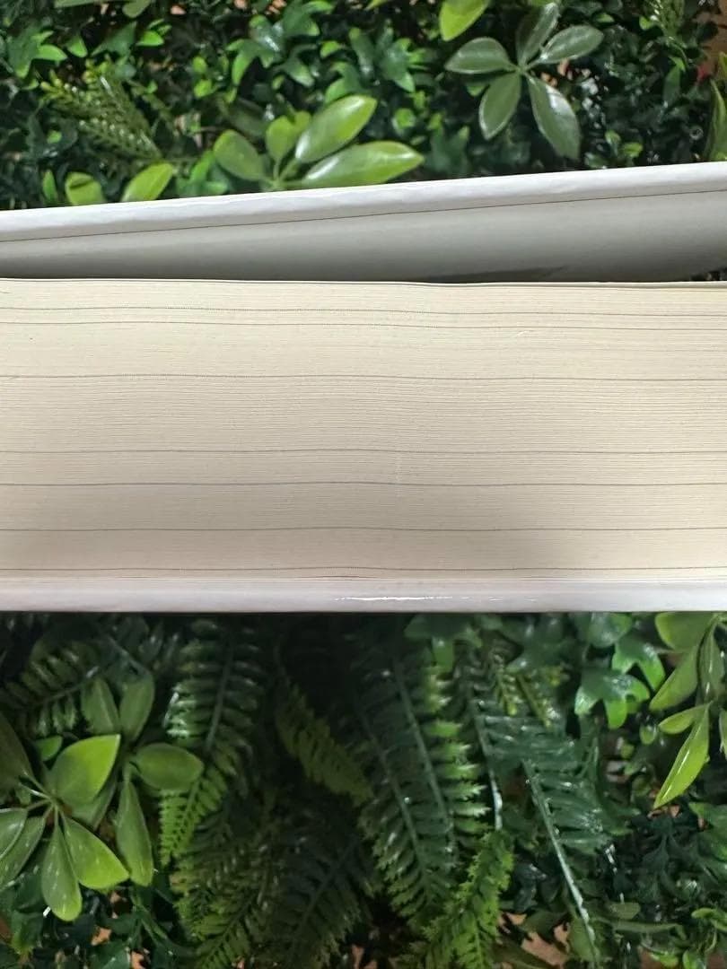 洋書 Business Dynamics John D. Sterman