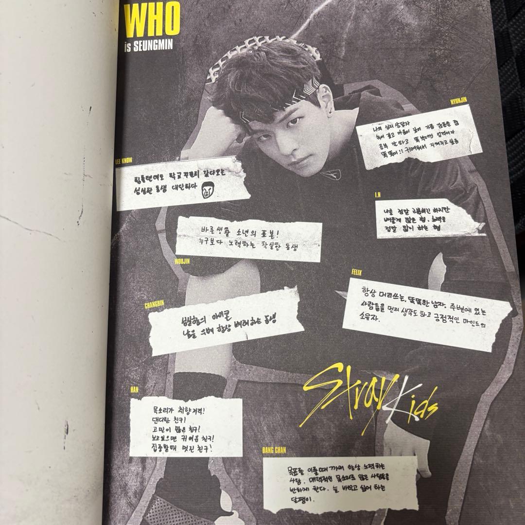 【straykids アルバム CD、58枚セット】