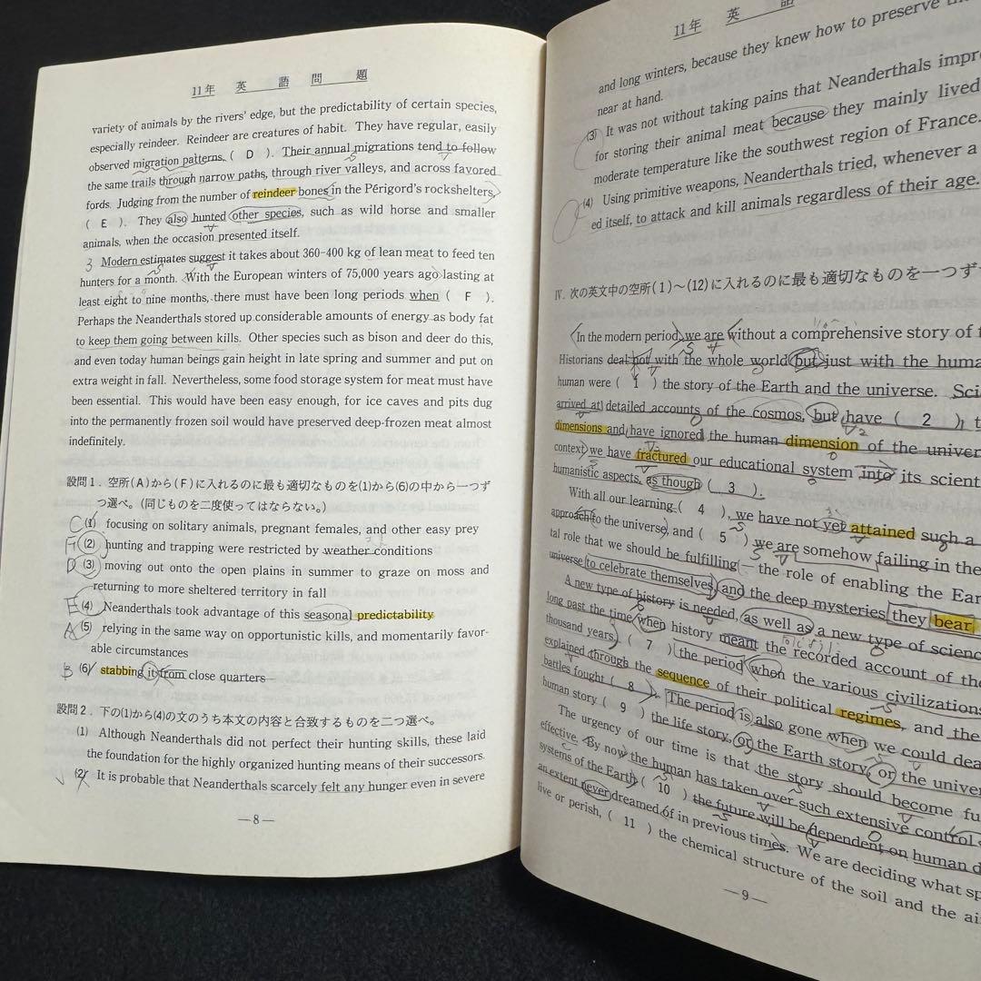 青本　早稲田大学　教育学部　文系　1981年～2023年　43年分　駿台予備学校
