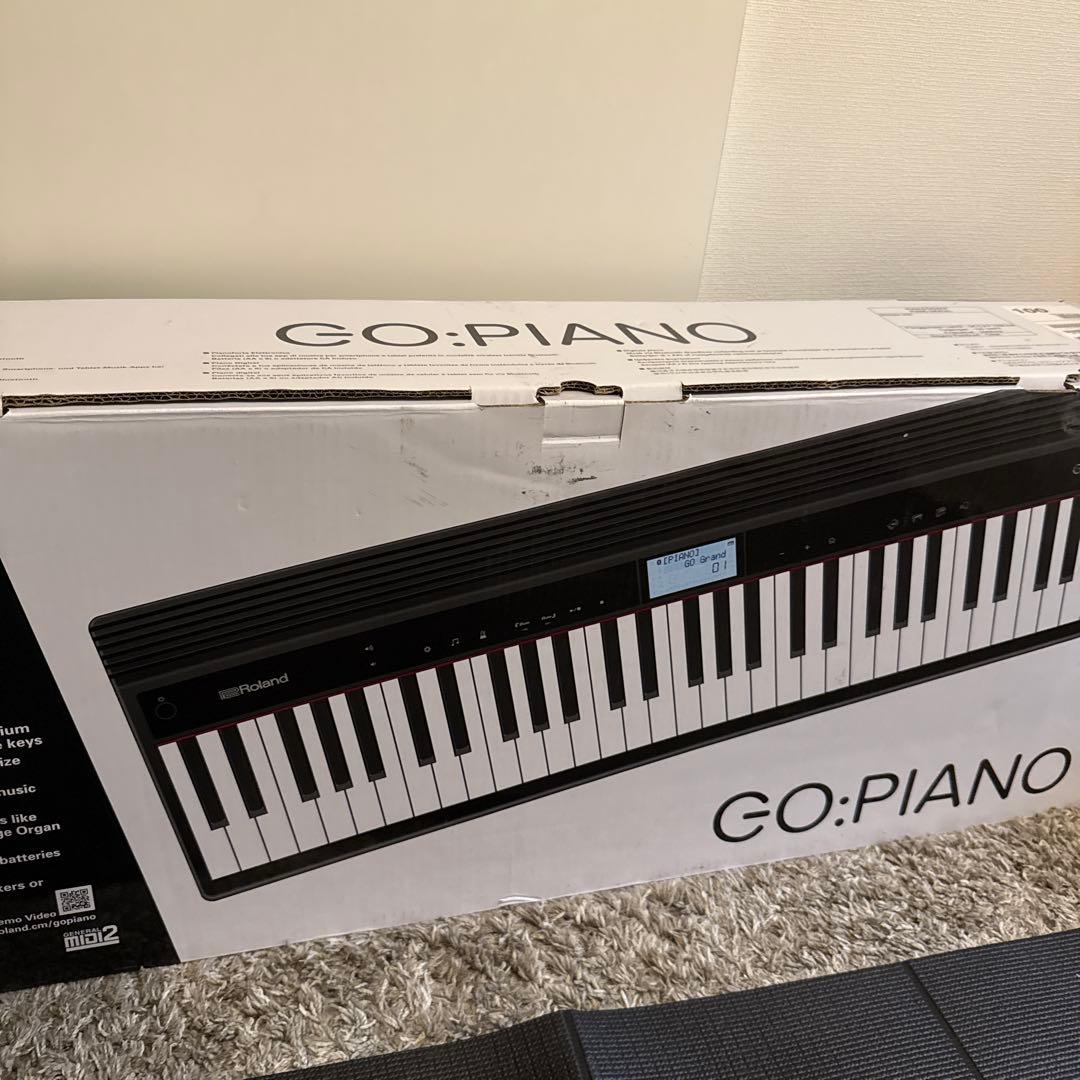 その他 Roland GO-61P