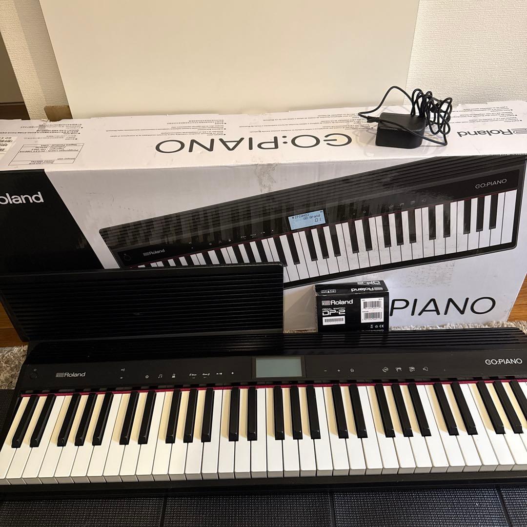 その他 Roland GO-61P