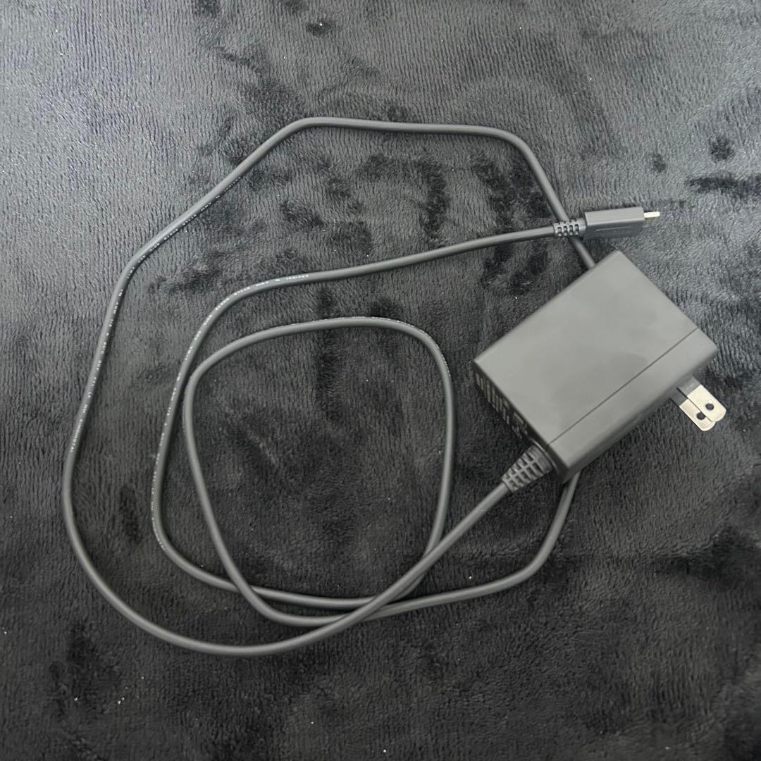 Nintendo Switch Lite グレー　ソフト付き