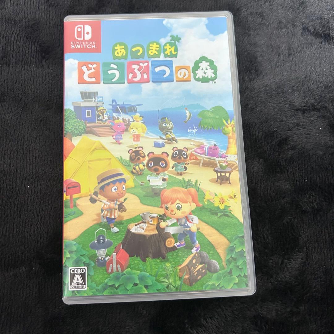 Nintendo Switch Lite グレー　ソフト付き