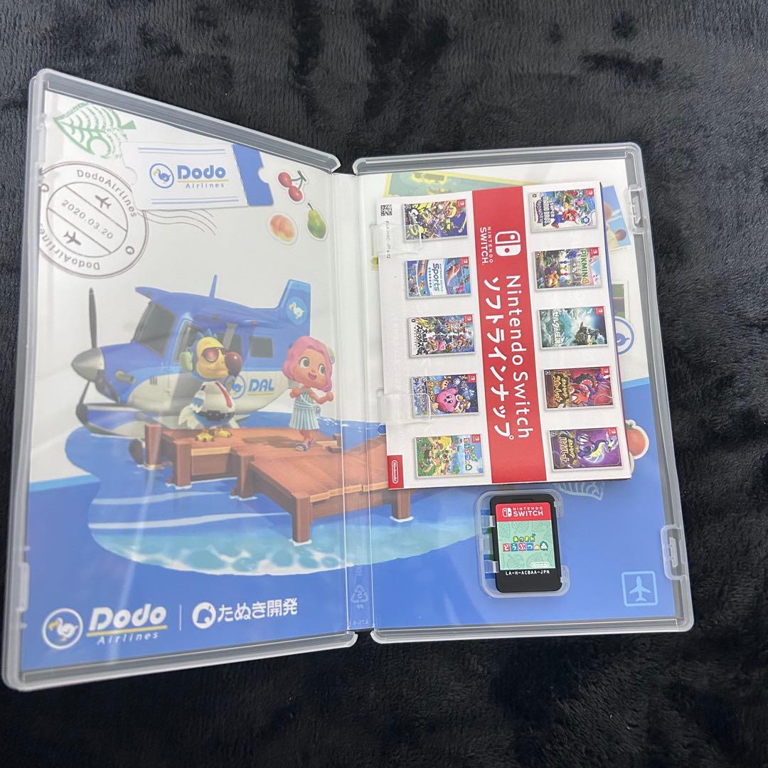 Nintendo Switch Lite グレー　ソフト付き