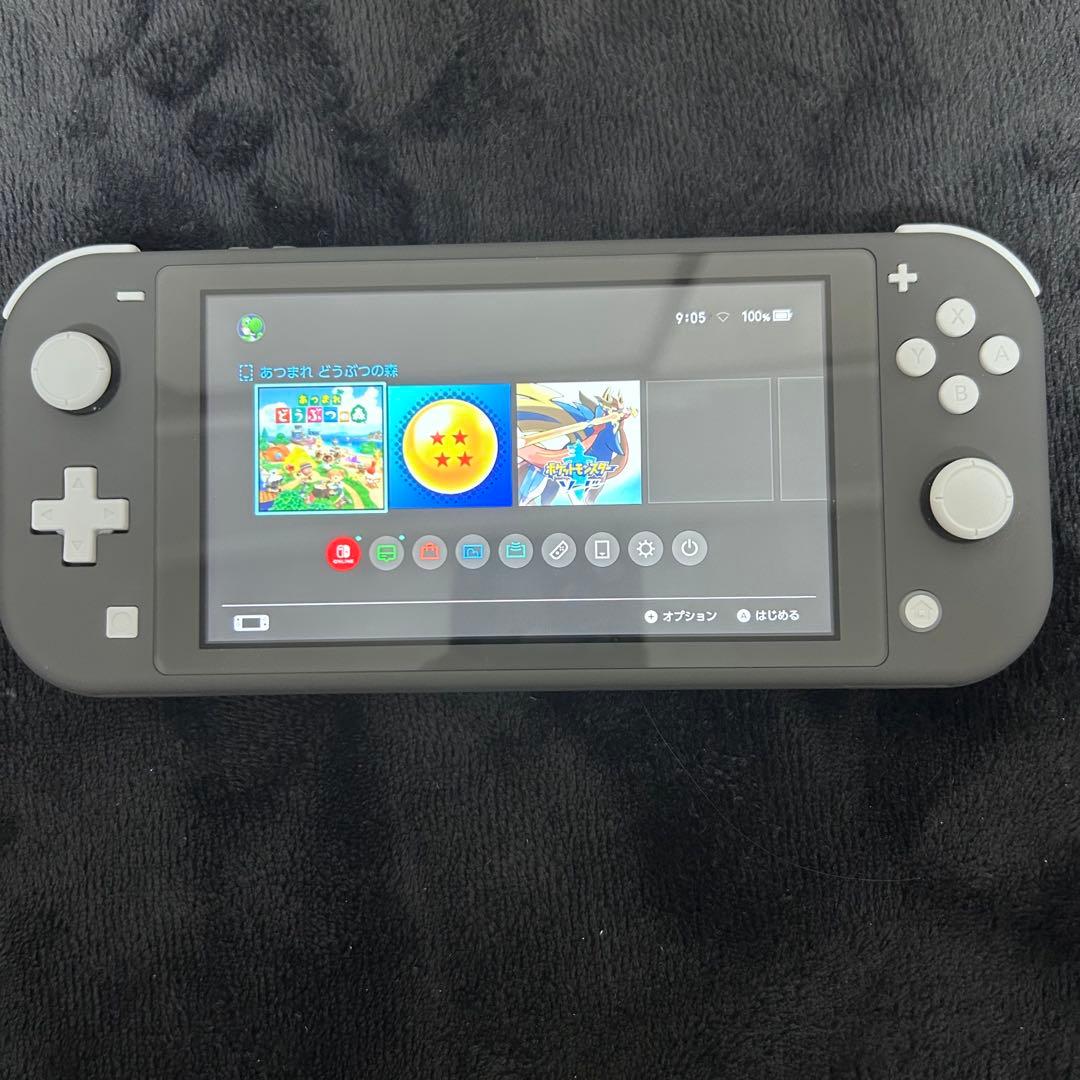 Nintendo Switch Lite グレー　ソフト付き