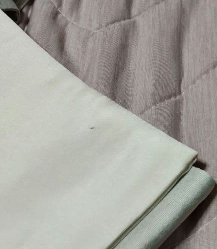 楽器琵琶と花の刺繍 袋帯